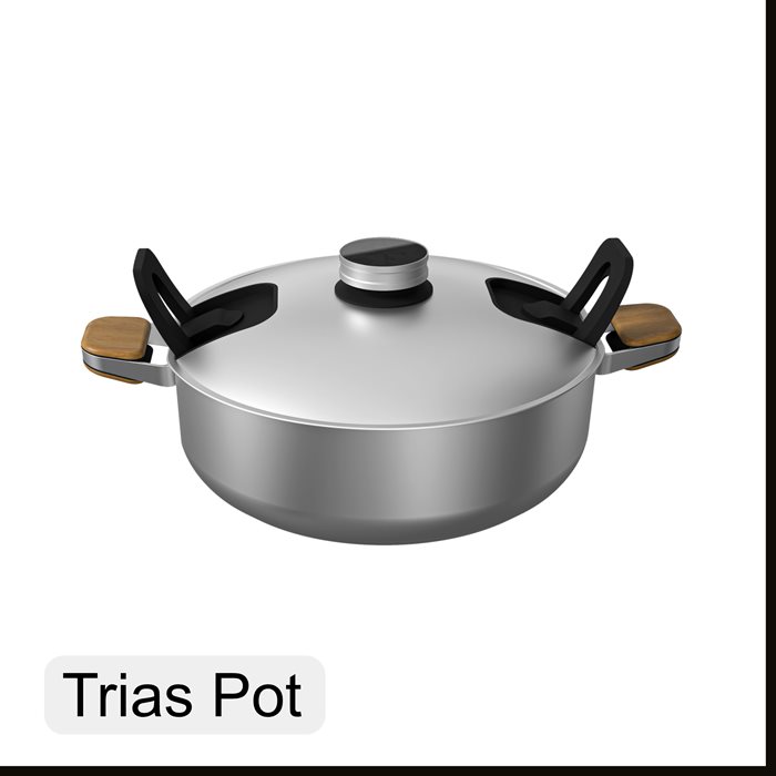 Trias Pot 06
