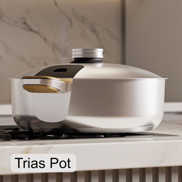 Trias Pot 02