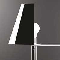 The Winners - SECTION 01