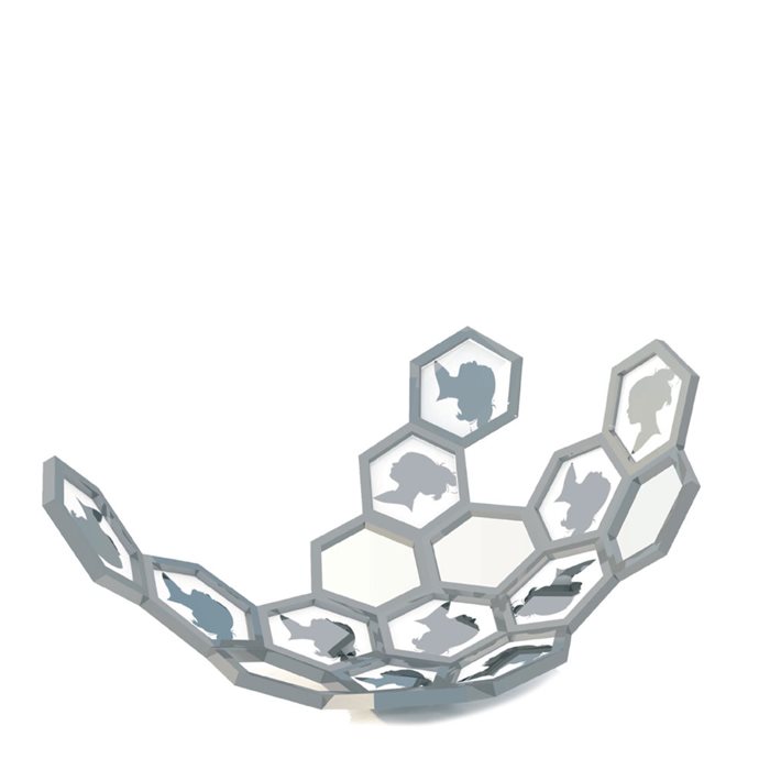 Polygons 02