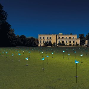 Flock of Lights