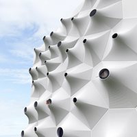 The Wall Of Birds 03