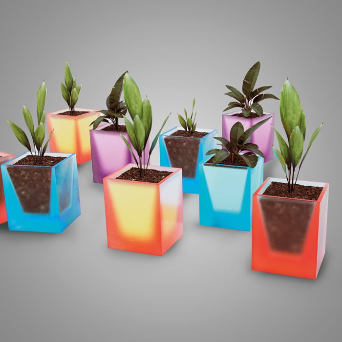 Planter 01