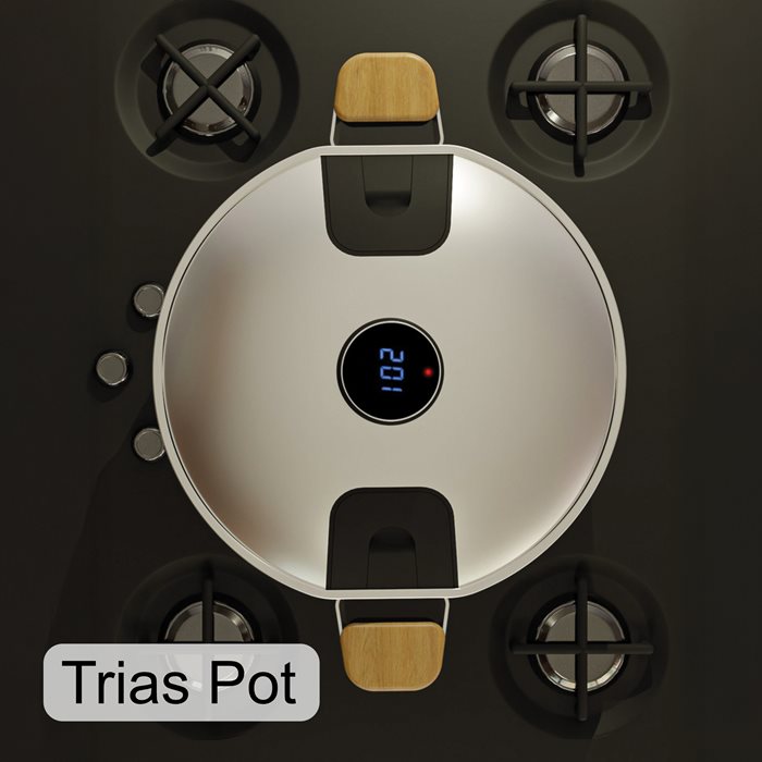 Trias Pot 05